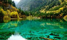 祖国的大好河山