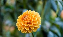 秋天的美景——黄华山