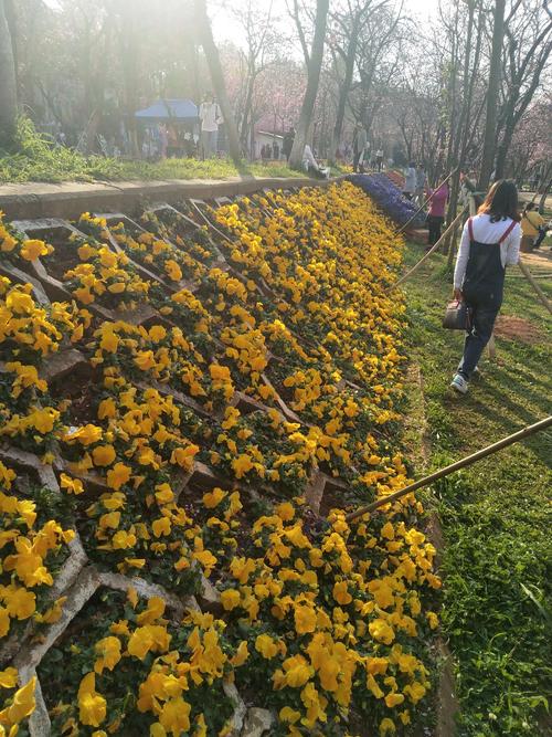 圆通山之旅