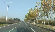 鸥鸟衔来的美丽世界