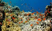 美丽的海洋公园