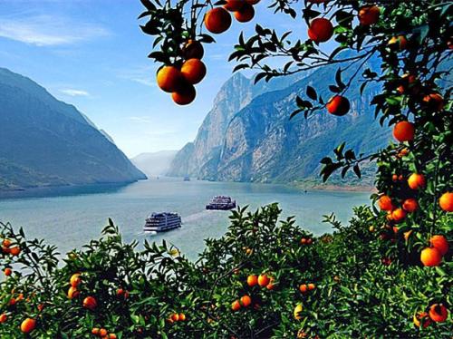 我心中的风景