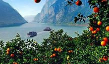 我心中的那一道风景