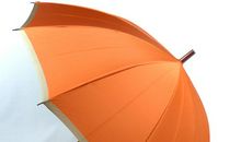 妈妈的漂亮雨伞