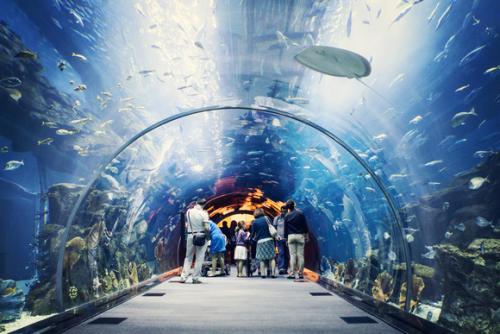 迪拜水族馆