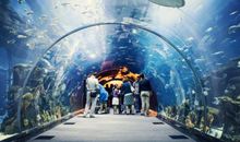 迪拜水族馆
