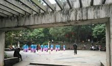 人民公园一日游