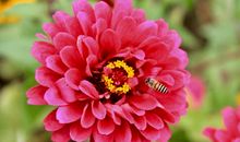 写在即将毕业时