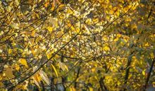 又见阳光明媚时