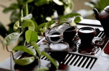 茶的故事