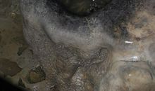 滴水石穿的启示