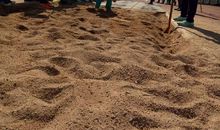 我们一起追梦2035