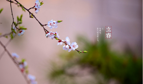 爱春天