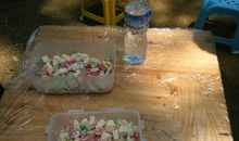 一次野炊给我的启示