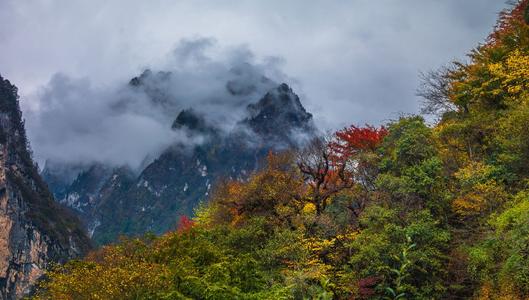 黄龙山