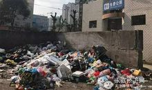 垃圾堆旁的天使