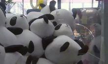 一波三折抓娃娃