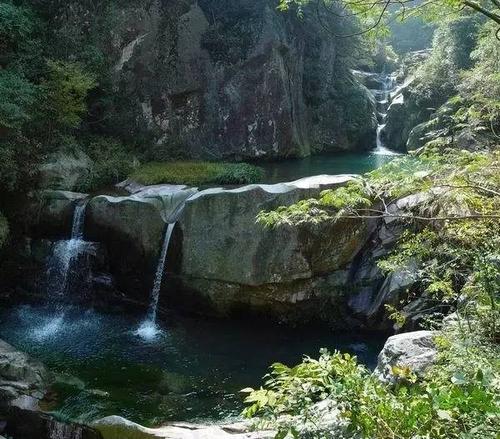 去天目山学习