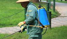 我最佩服环卫工人