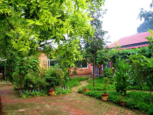 我院子里的夏天