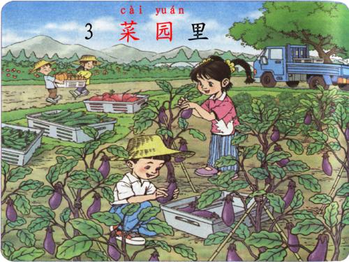 夏天·蔬菜园·隐藏与寻求