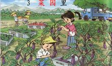 夏日·菜园·捉迷藏