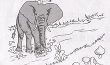 富饶的西沙群岛看图写话