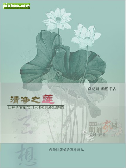 关于阅读《纯莲花》的思考