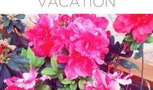 尊重使得春暖花开