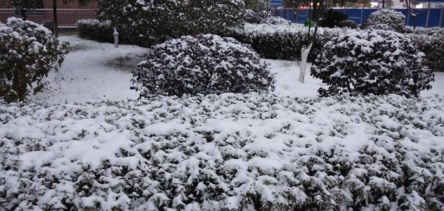 冬季雪景