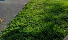 我总想起那美丽的背影