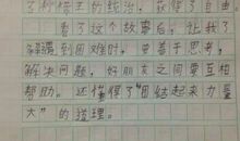 《洋葱头历险记》读后感