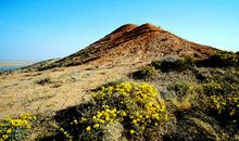 贫瘠土地上的根