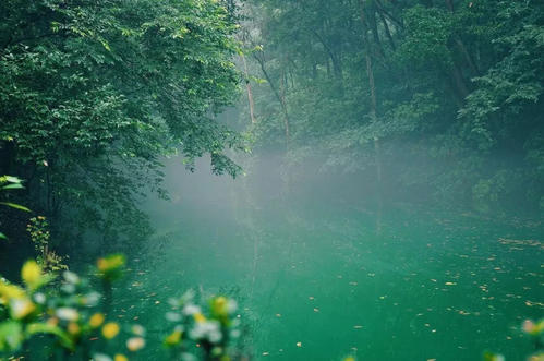 沉迷于四时雨的风景