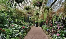 我生活在温室中