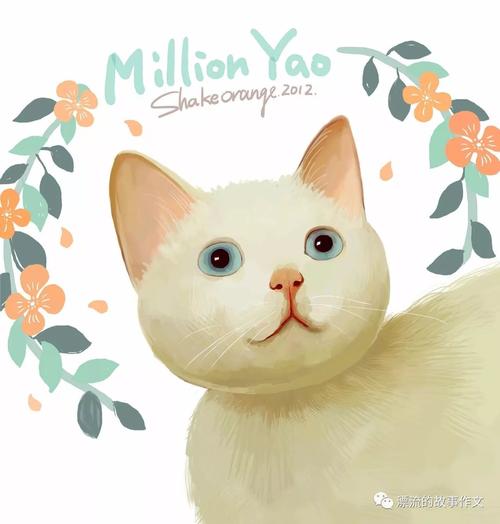 花猫“阿美”