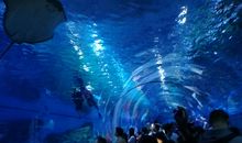 极地海洋世界游记