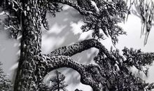 铁画上的迎客松