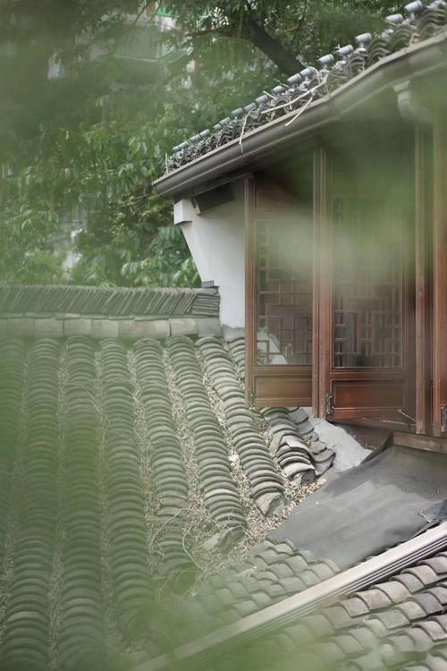 茶组成的详细说明
