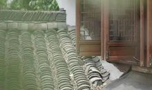 泡茶作文细节描写