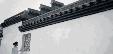 我一生悠闲地读书