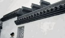 我从生活中读出了悠然