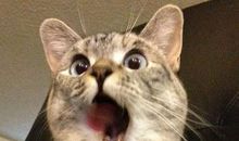 冰封不住的微笑