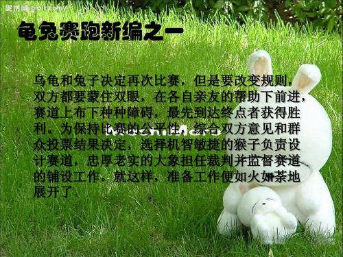 兔赛跑新版