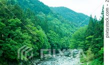 孤独是永不枯竭的河流