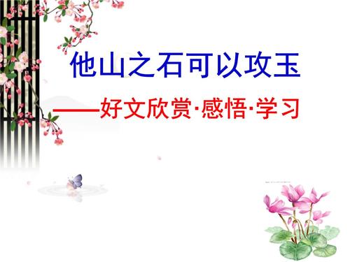 青蛙的学习道路