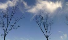 在生活中感悟生命