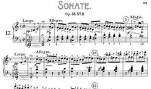 倾听雨的奏鸣曲