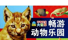 《好奇的小海豚》读后感