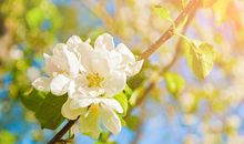 感受到春天的阳光